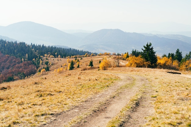 Montañas de los Cárpatos de otoño en octubre