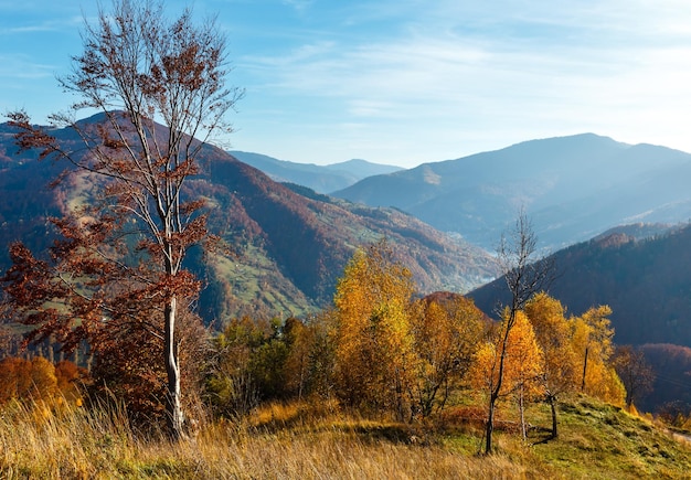 Montañas de los Cárpatos de otoño Ucrania