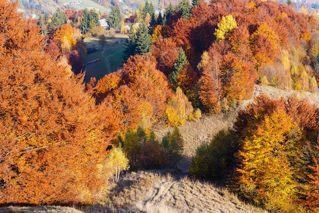 Montañas de los Cárpatos de otoño Ucrania