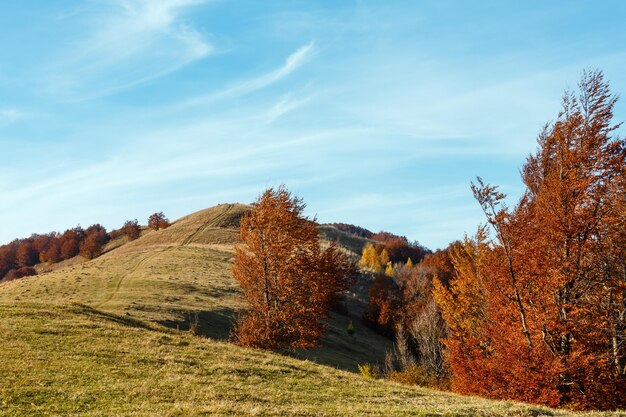 Montañas de los Cárpatos de otoño Ucrania