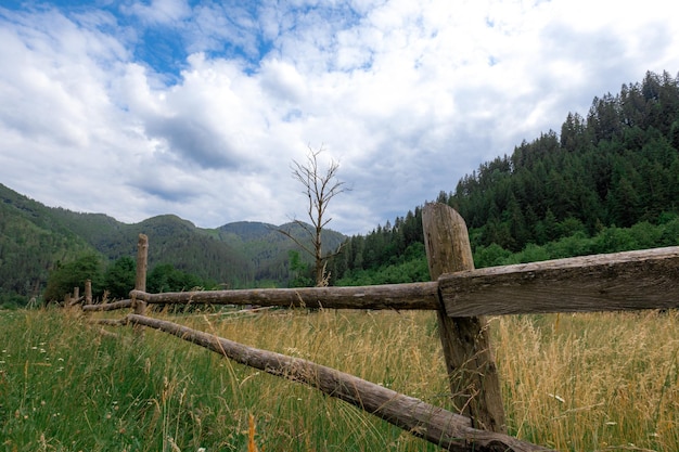 Las montañas de los Cárpatos en verano