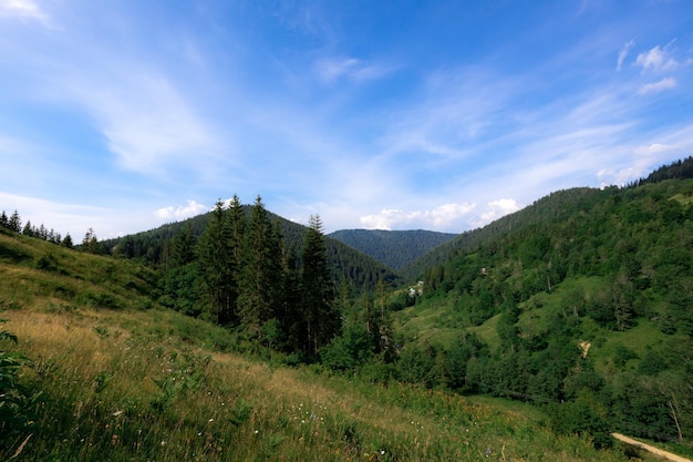 Las montañas de los Cárpatos en verano