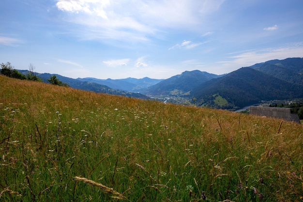 Las montañas de los Cárpatos en verano