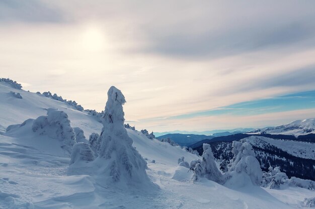 Montañas de los Cárpatos