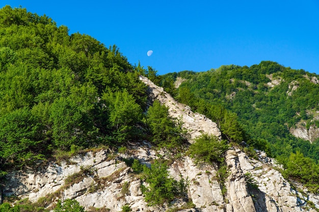 Montañas del Cáucaso cubiertas de bosque verde