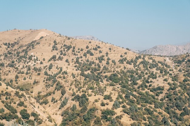 Las montañas Chimgan de Uzbekistán