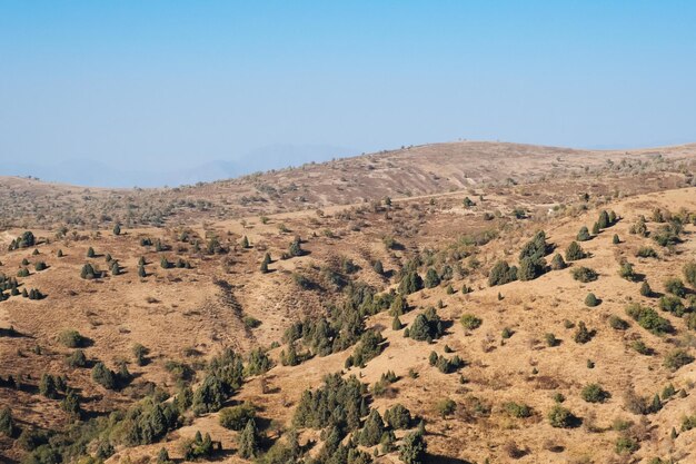 Montañas Chimgan de Uzbekistán