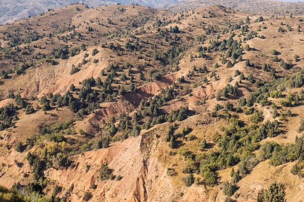 Montañas Chimgan de Uzbekistán