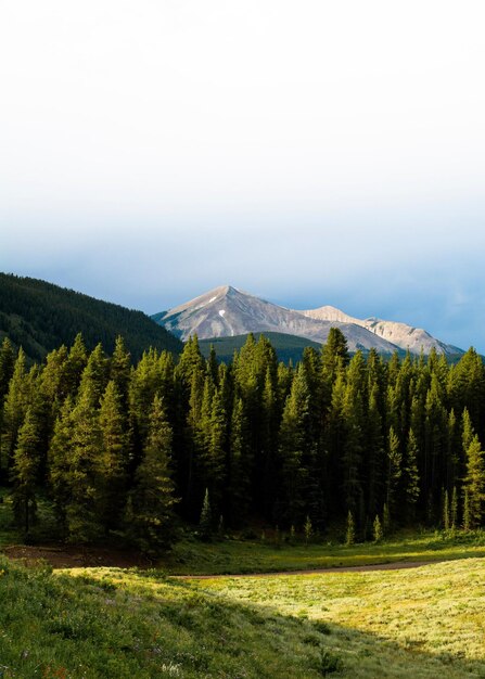 Las montañas de Colorado