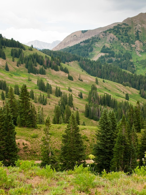 Montañas en Crested Butte, Colorado.