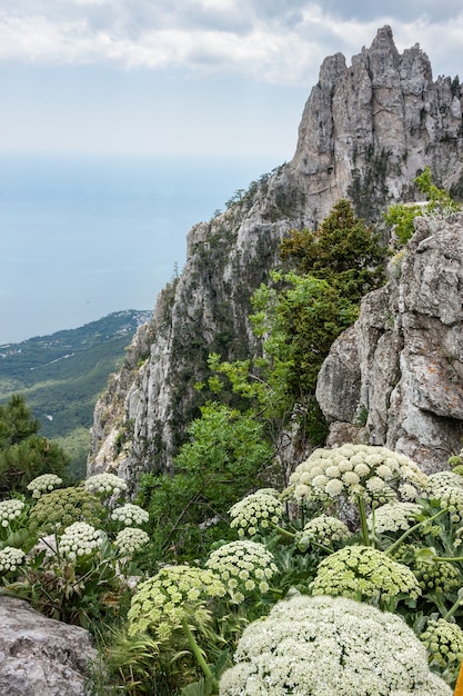 Montañas de Crimea