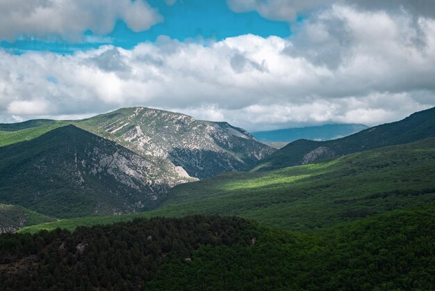 Montañas cubiertas por un bosque verde joven en tiempo nublado en primavera