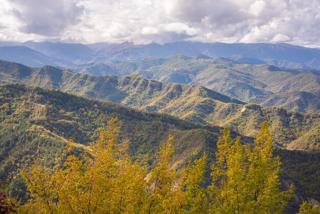 Montañas cubiertas de colorido bosque en otoño