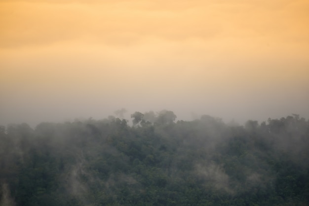 Montañas cubiertas de niebla