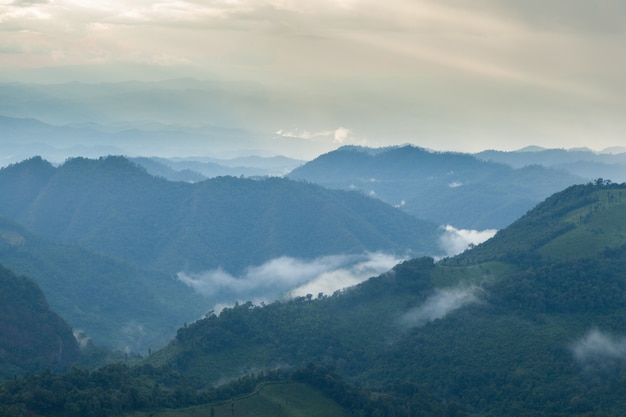 Montañas cubiertas de niebla