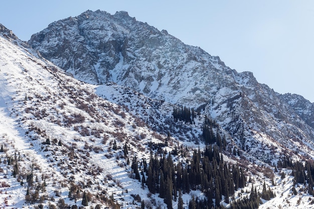 Montañas cubiertas de nieve y abetos en el parque de invierno