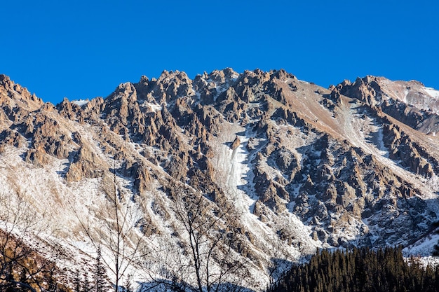 Montañas cubiertas de nieve y abetos en el parque de invierno