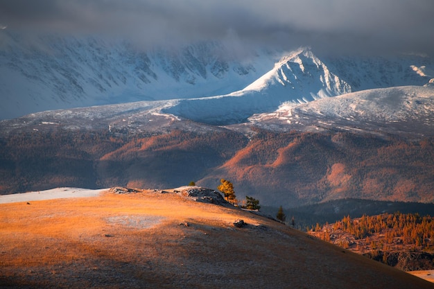 Montañas cubiertas de nieve con árboles de otoño amarillo montañas de Altai Rusia