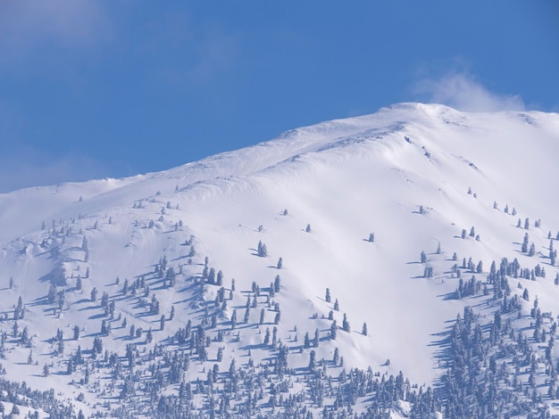 Montañas cubiertas de nieve y bosques contra el cielo azul en Grecia