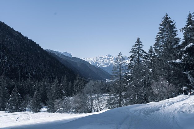 Montañas cubiertas de nieve contra el cielo