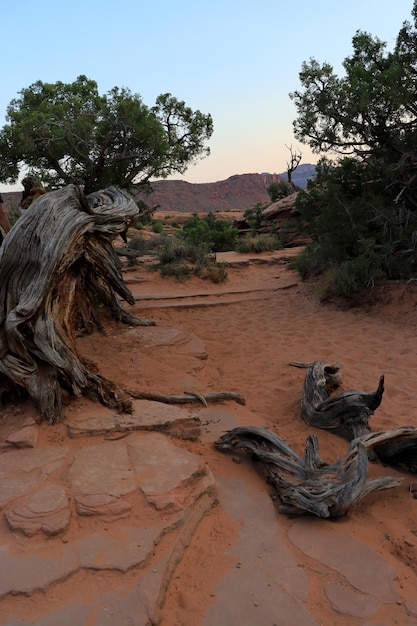 Montañas del desierto de Utah cerca de Moab en verano