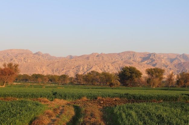 Las montañas de Egipto son visibles en la distancia.