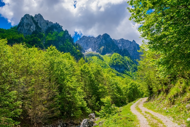 En las montañas se encuentra un sinuoso camino rocoso.