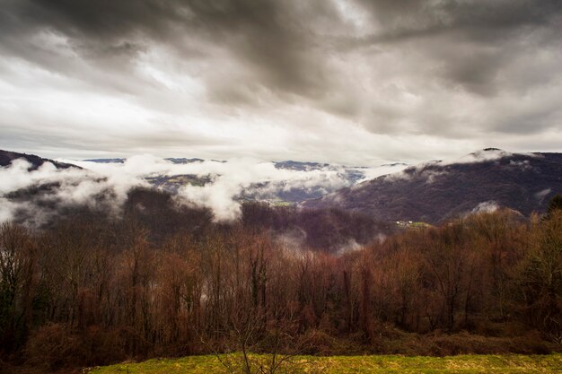 Montañas eslovenas cubiertas por la niebla