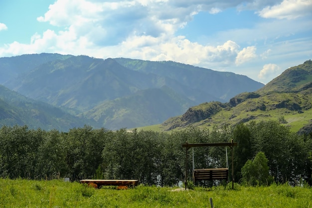 Las montañas están cubiertas de árboles verdes Pinos Árboles de Navidad en las montañas La naturaleza de Canadá La naturaleza de Rusia La naturaleza de los Estados Unidos