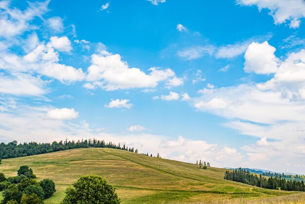 Las montañas están cubiertas de bosques de coníferas y verdes prados.