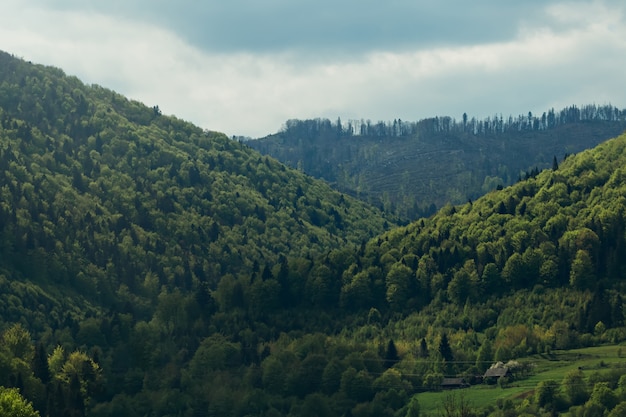 Las montañas están cubiertas de bosques y pequeñas casas.