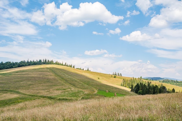 Las montañas están cubiertas de bosques y prados en la cima de la montaña.