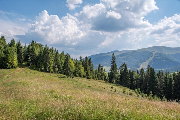 Las montañas están cubiertas de bosques y prados en la cima de la montaña.