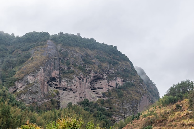 Las montañas están cubiertas de bosques