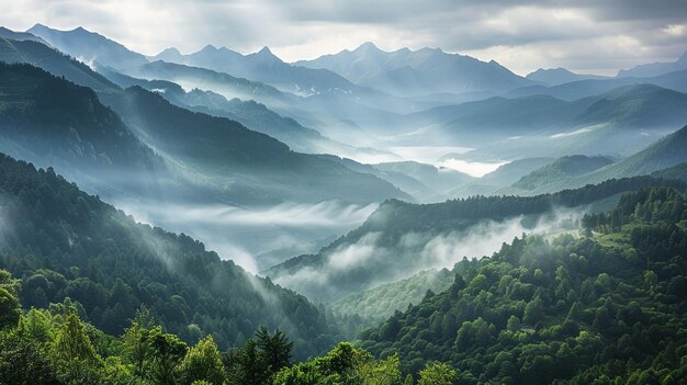 las montañas están cubiertas de niebla y niebla