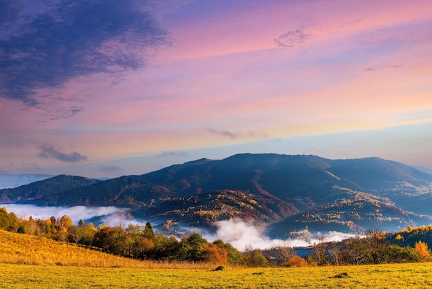 Montañas gigantes cubiertas de exuberantes bosques de coníferas rodeadas de niebla pesada en el desfiladero bajo un cielo azul con nubes rosas claras en otoño