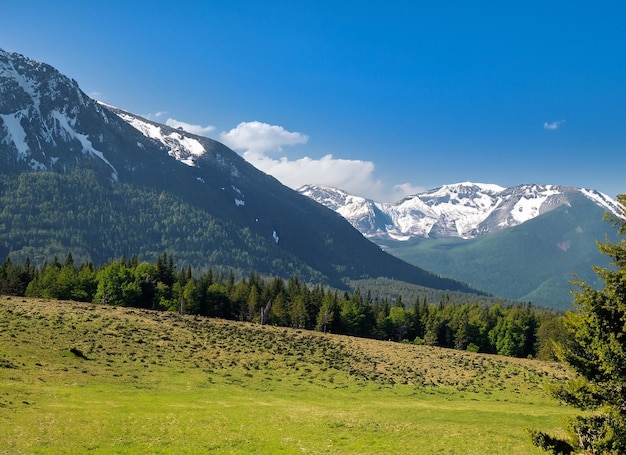 Montañas gigantes con nieve sobre el valle verde