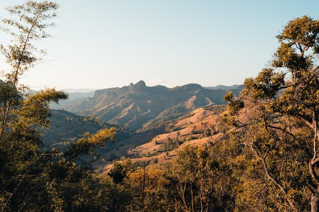 Montañas y hierba naranja por la noche en Mae Hong Son