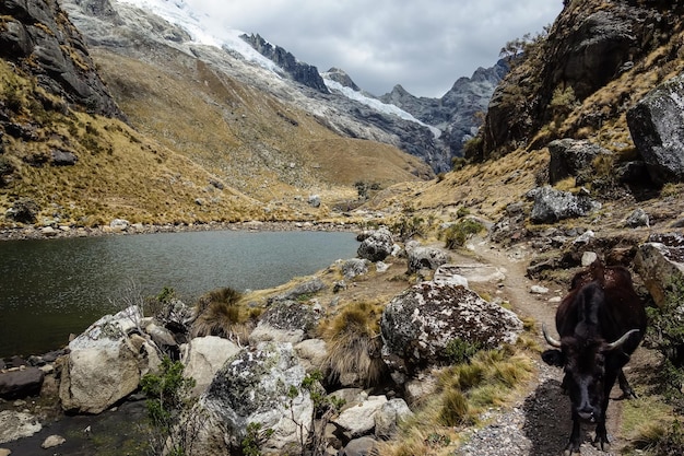 Montañas Huascarán, en Huaraz, Andes peruanos. asombroso paisaje montañoso de altitud