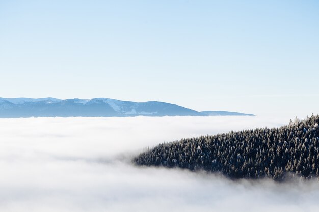 Montañas de invierno con niebla