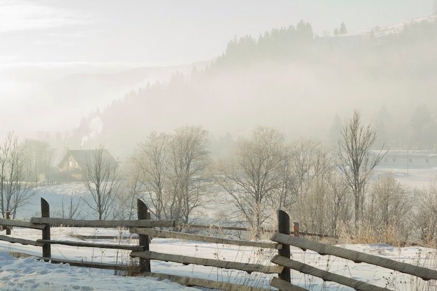 Montañas en invierno en la nieve