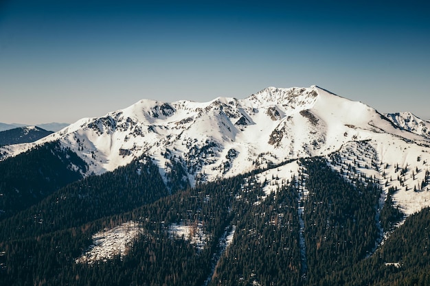 Montañas de invierno restos de bosque de coníferas de primavera de nieve