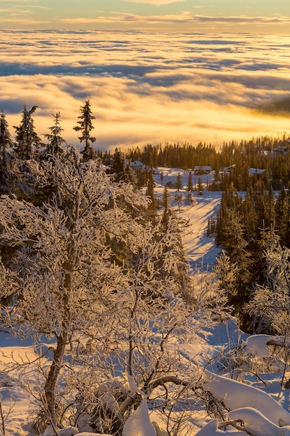 Montañas de invierno