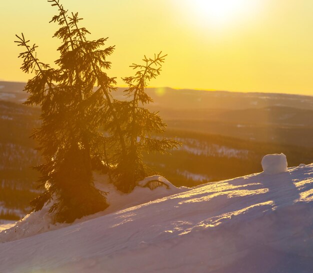 Montañas de invierno