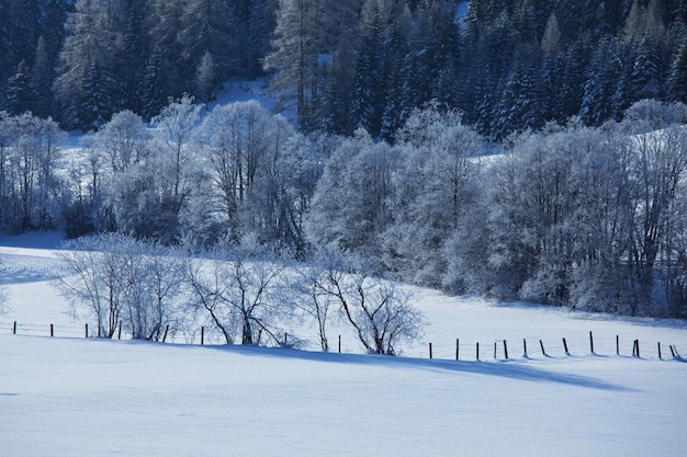 Montañas de invierno