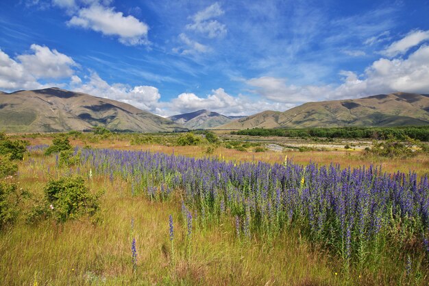 Montañas de la isla sur, Nueva Zelanda