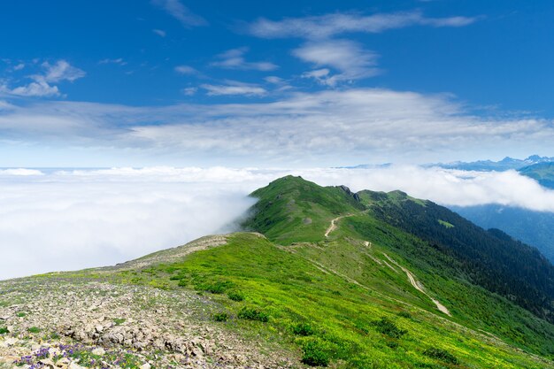 Montañas Kackar Rize Turquía