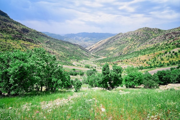 Foto las montañas del kurdistán