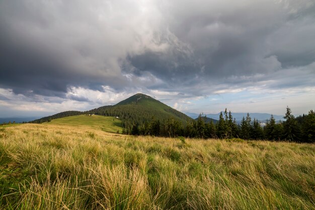 Montañas leñosas bajo cielo nublado.