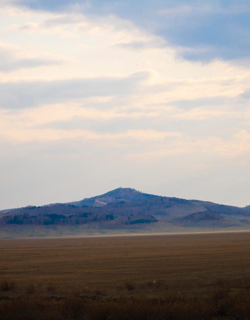 Montañas melkosopochnik de Kazajstán de Kazajstán